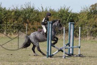 Lyford Eventers Challenge