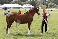 Chertsey Show 2019, Sat